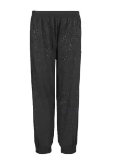 Pantaloni EA7 PANTS CH PL